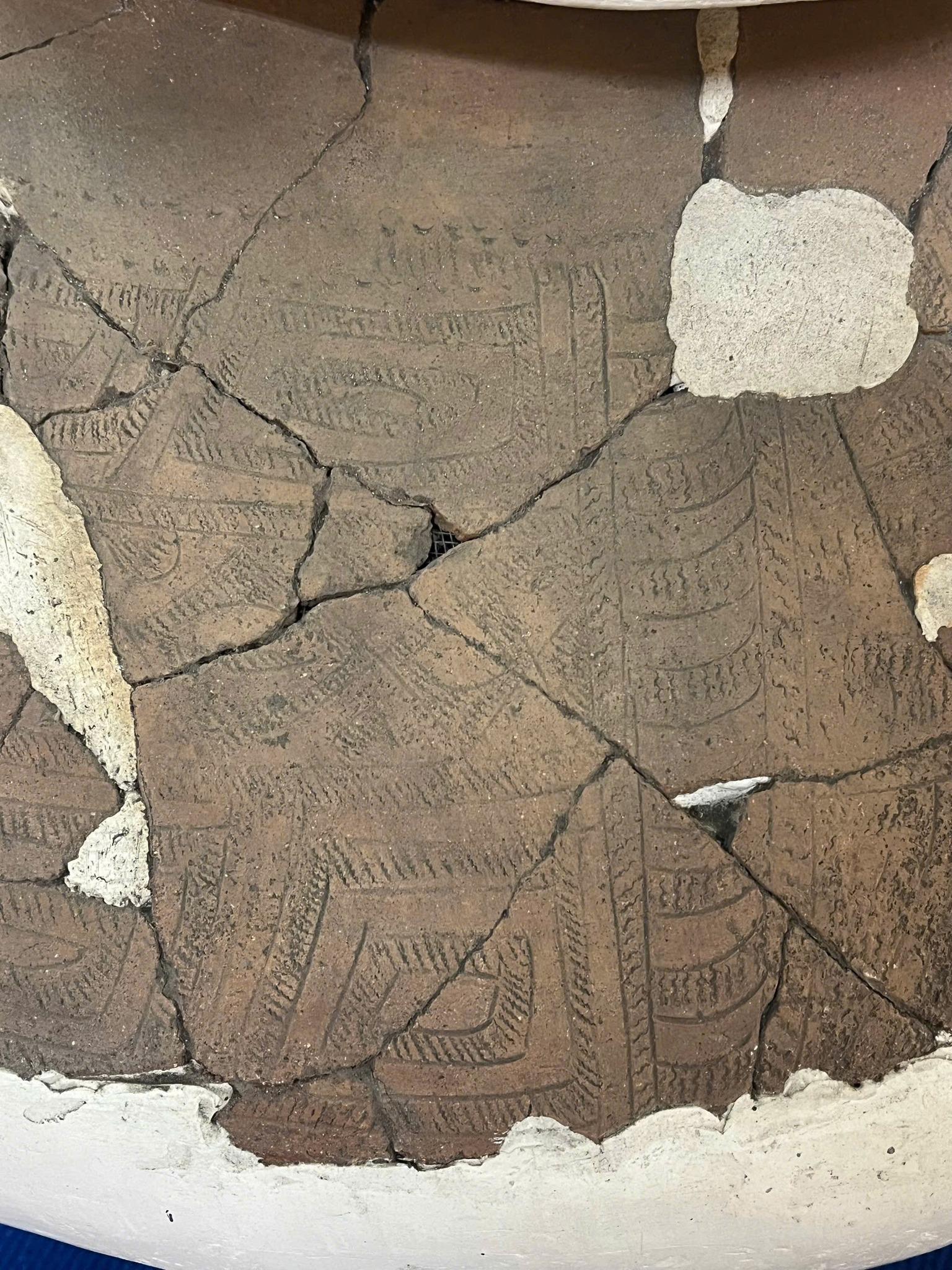 chum-vo-di-tich-hoa-diem (3)