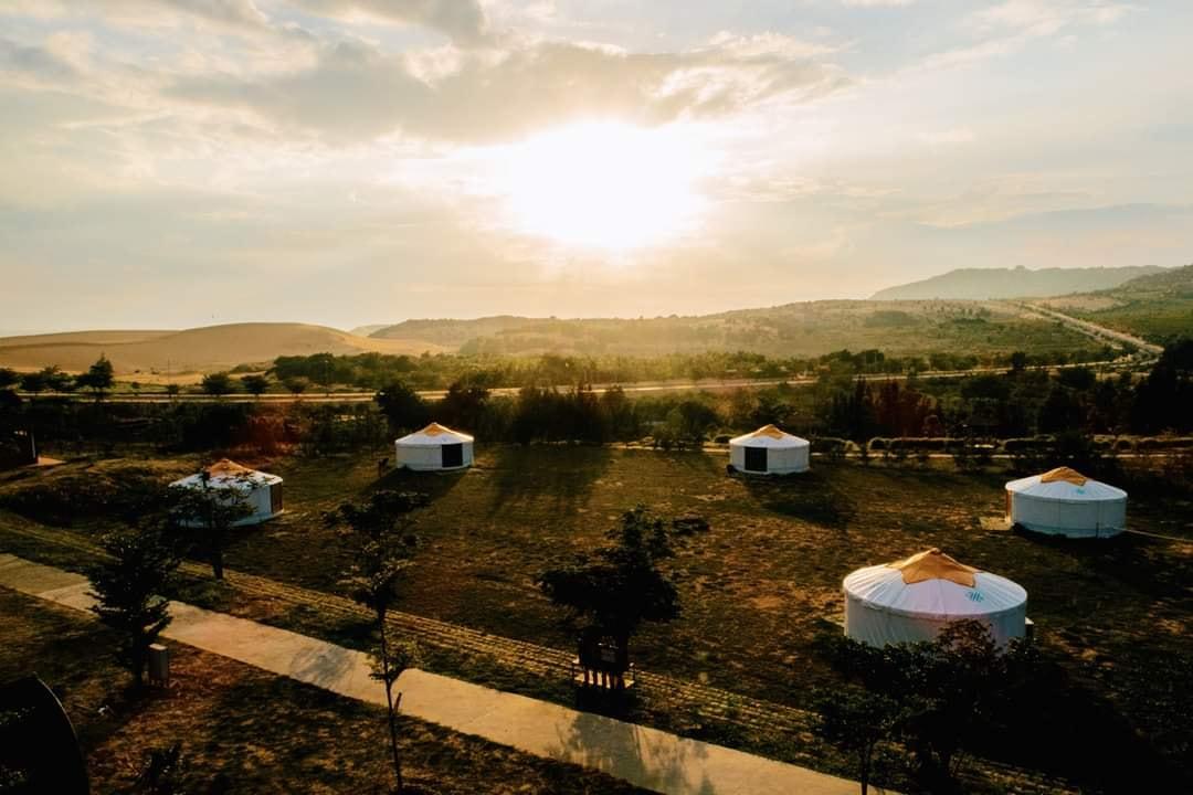 tanyoli-1.jpg